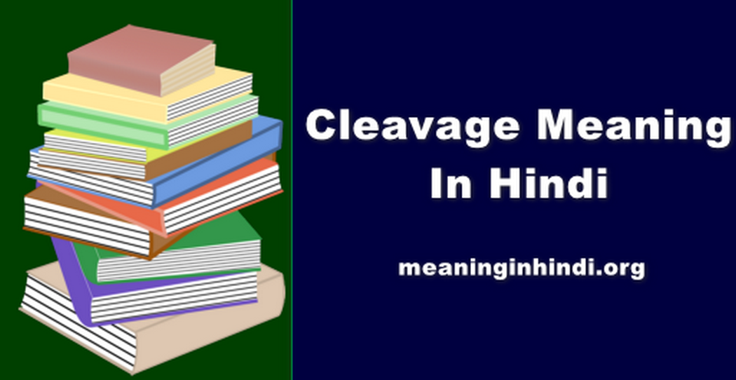 Cleavage Meaning In Hindi