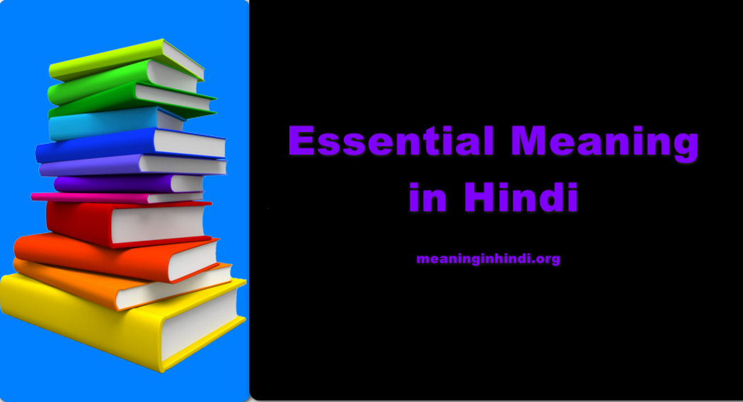 Essential Meaning in Hindi