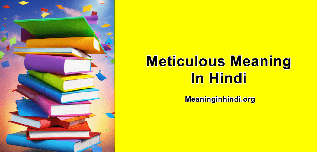 Meticulous meaning in hindi