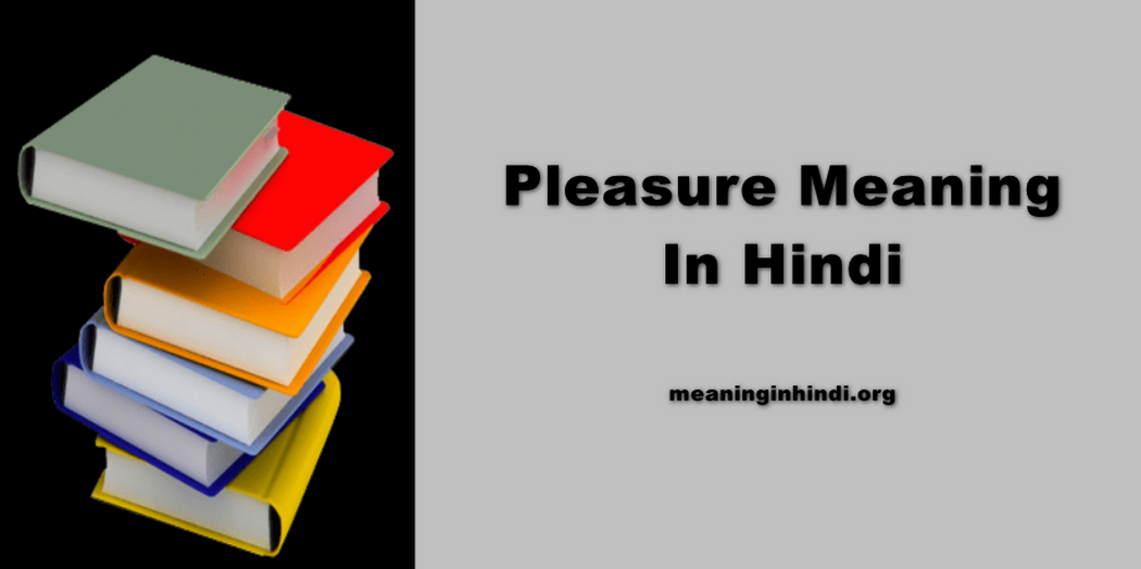 Pleasure Meaning In Hindi