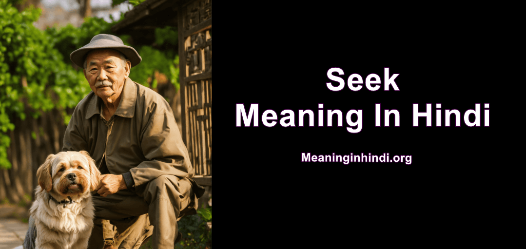 Seek Meaning In Hindi