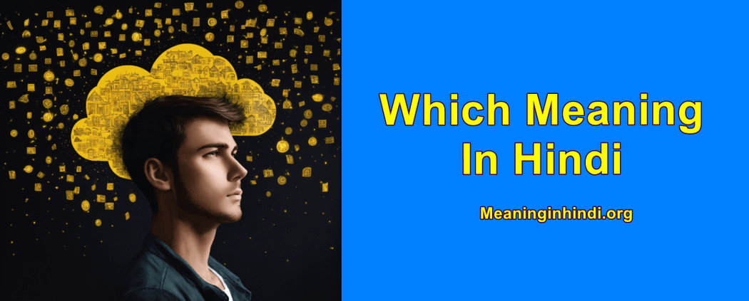 Which meaning in hindi