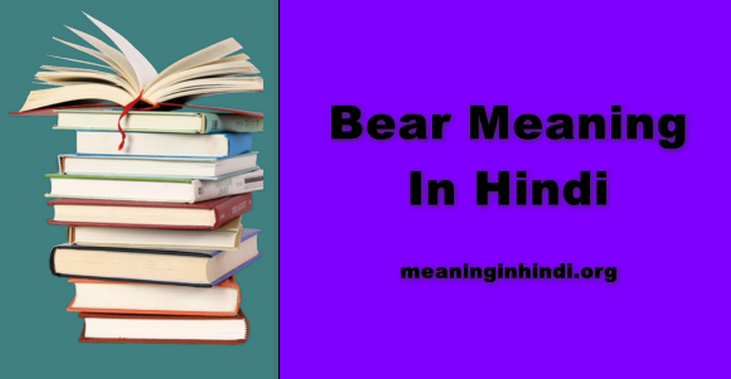 Bear Meaning In Hindi