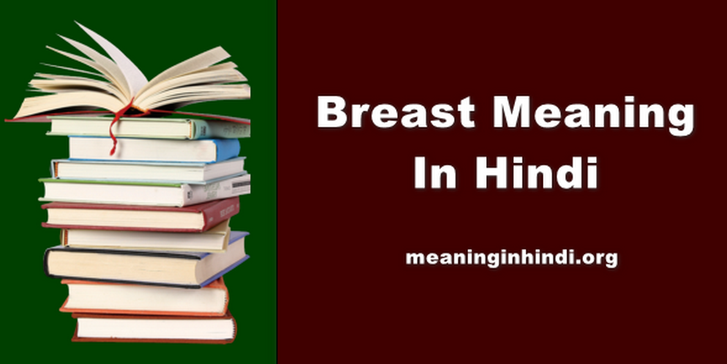 Breast Meaning In Hindi