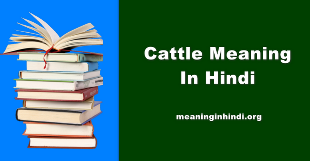 Cattle Meaning In Hindi