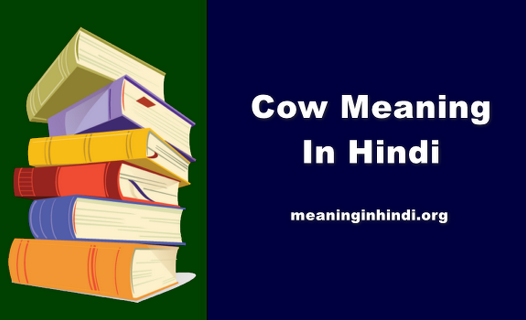 Cow Meaning In Hindi