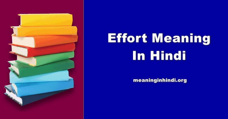 Effort Meaning In Hindi