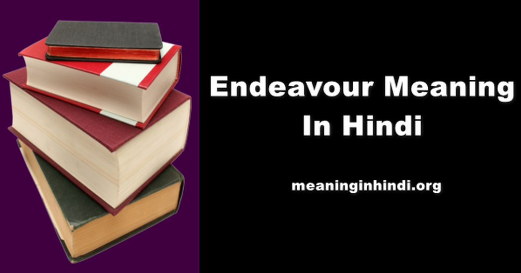 Endeavour Meaning In Hindi