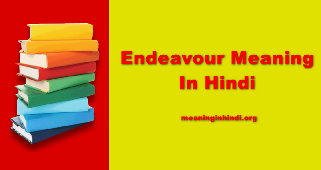 Endeavour Meaning In Hindi