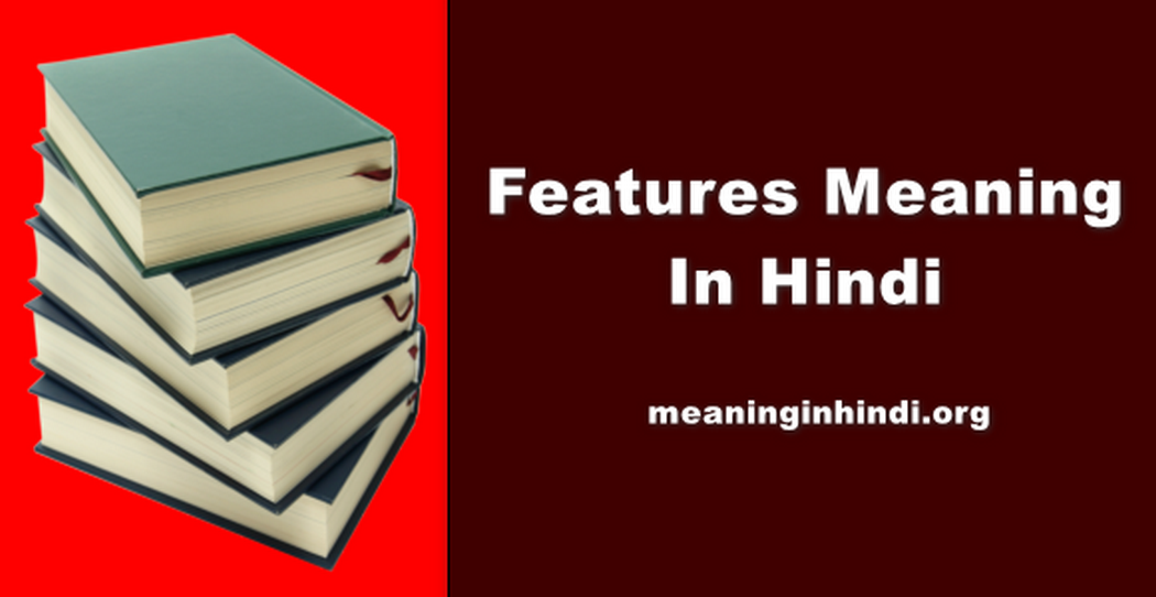 Features Meaning In Hindi