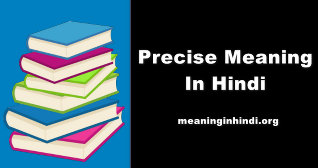 Precise Meaning In Hindi