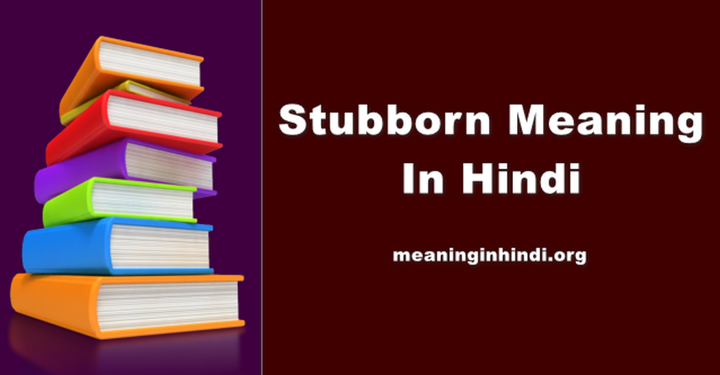 Stubborn Meaning In Hindi