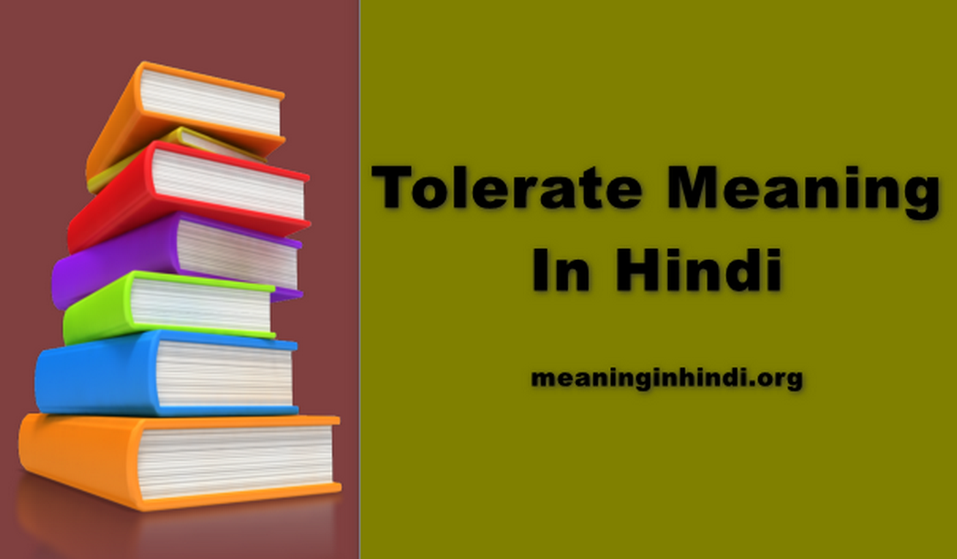 Tolerate Meaning In Hindi